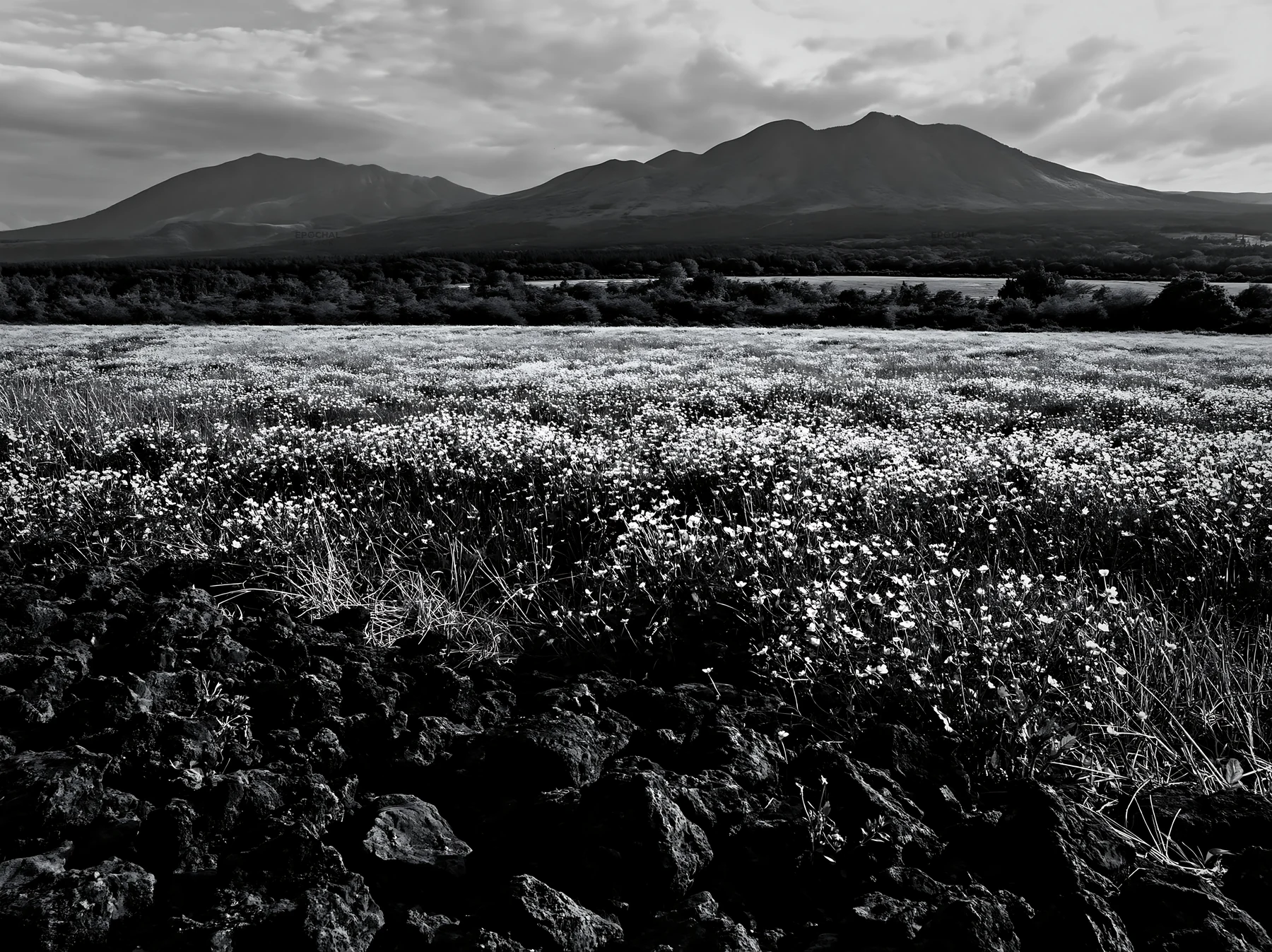 Kumamoto volcanic meadow with dark rock foreground - AI-generated stock image