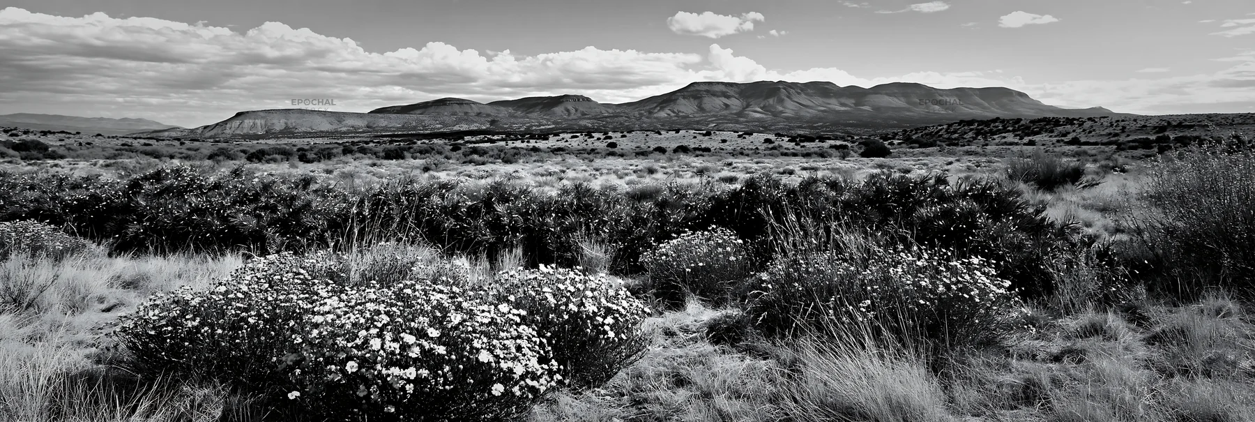 Expansive meadow with drought tolerant stems and garland - AI-generated stock image