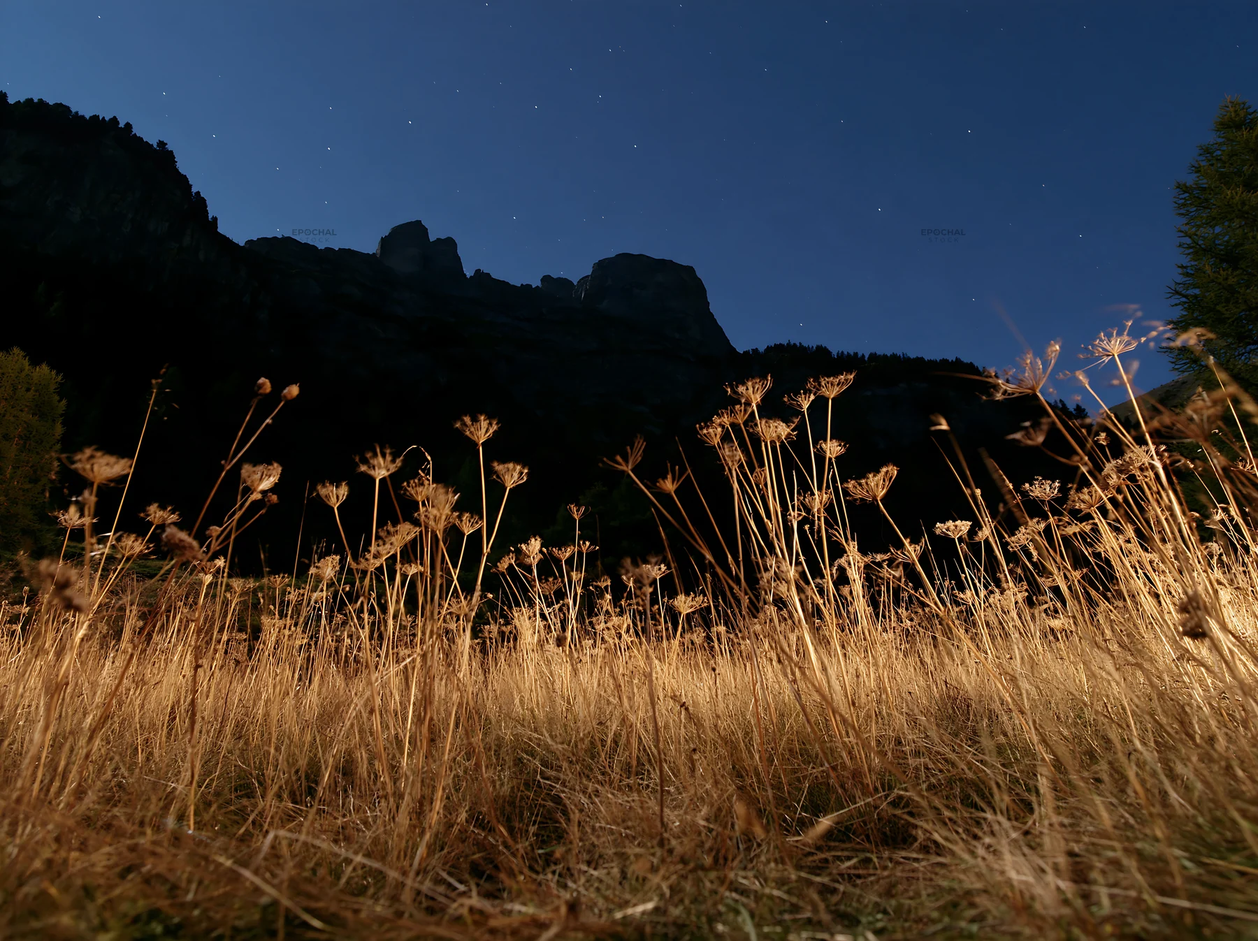 Meadow beneath crags at night with starry sky - AI-generated stock image