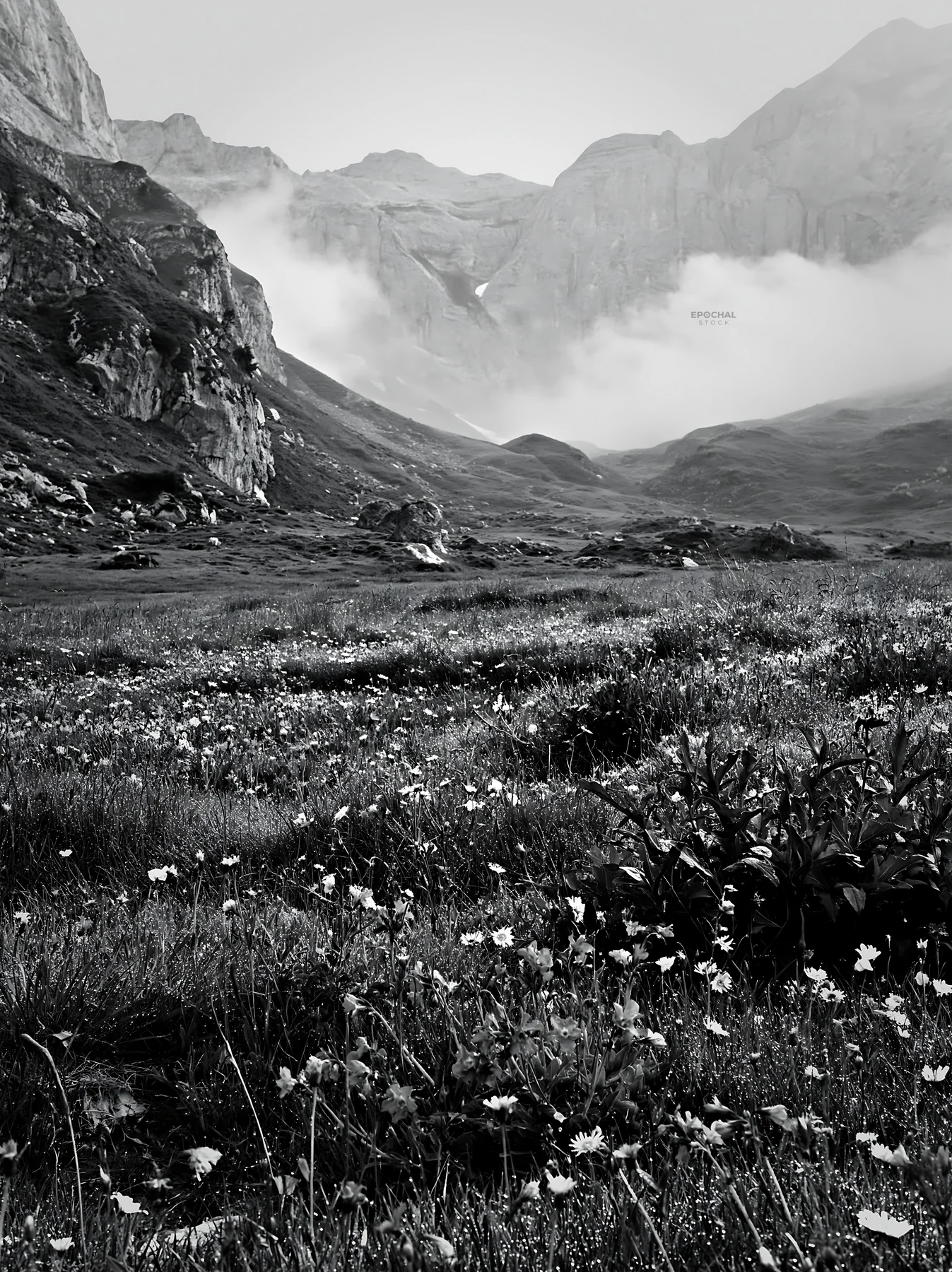 Morning dew on a meadow with mountains in the background - AI-generated stock image