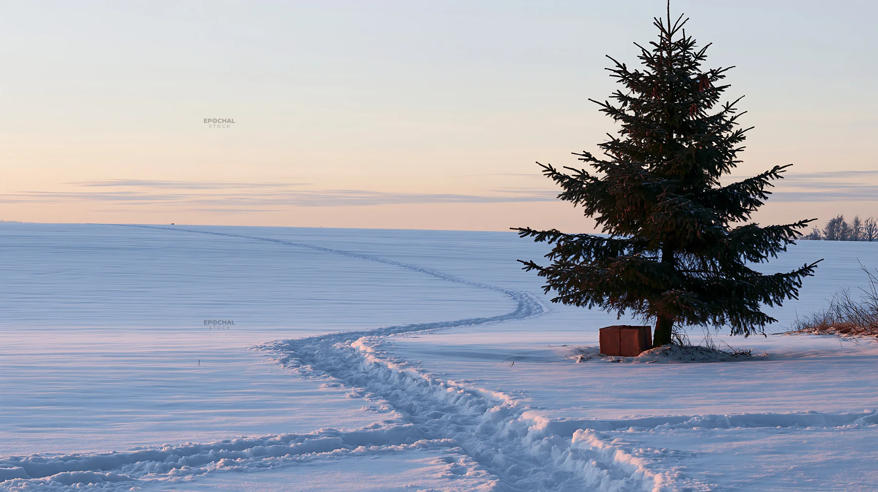 Single package beside evergreen tree in snowy landscape - AI-generated stock image