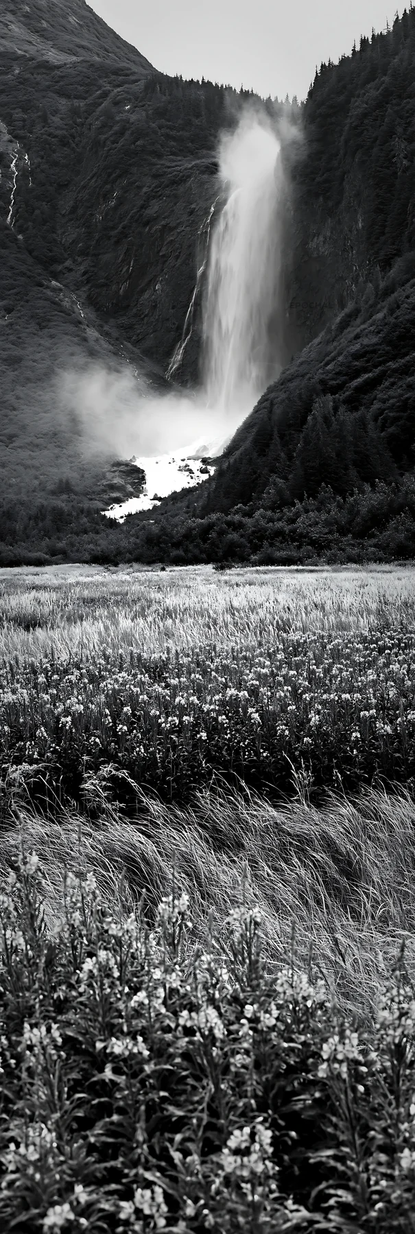 Meadow and waterfall under mist in black and white - AI-generated stock image