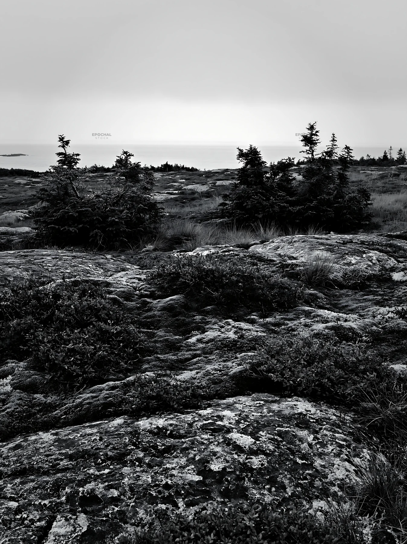 Mossy boulder meadow with distant trees and foggy horizon - AI-generated stock image