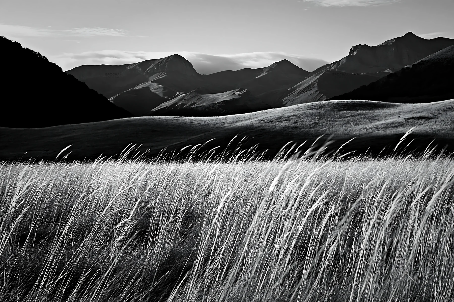 Rolling valley meadows with distant mountains in black and white - AI-generated stock image