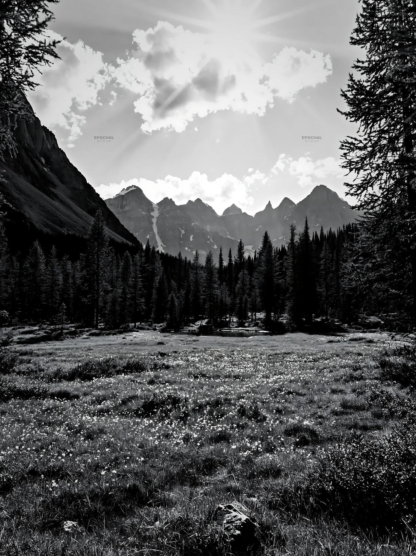 Sunrays shining over meadow and mountains with trees - AI-generated stock image
