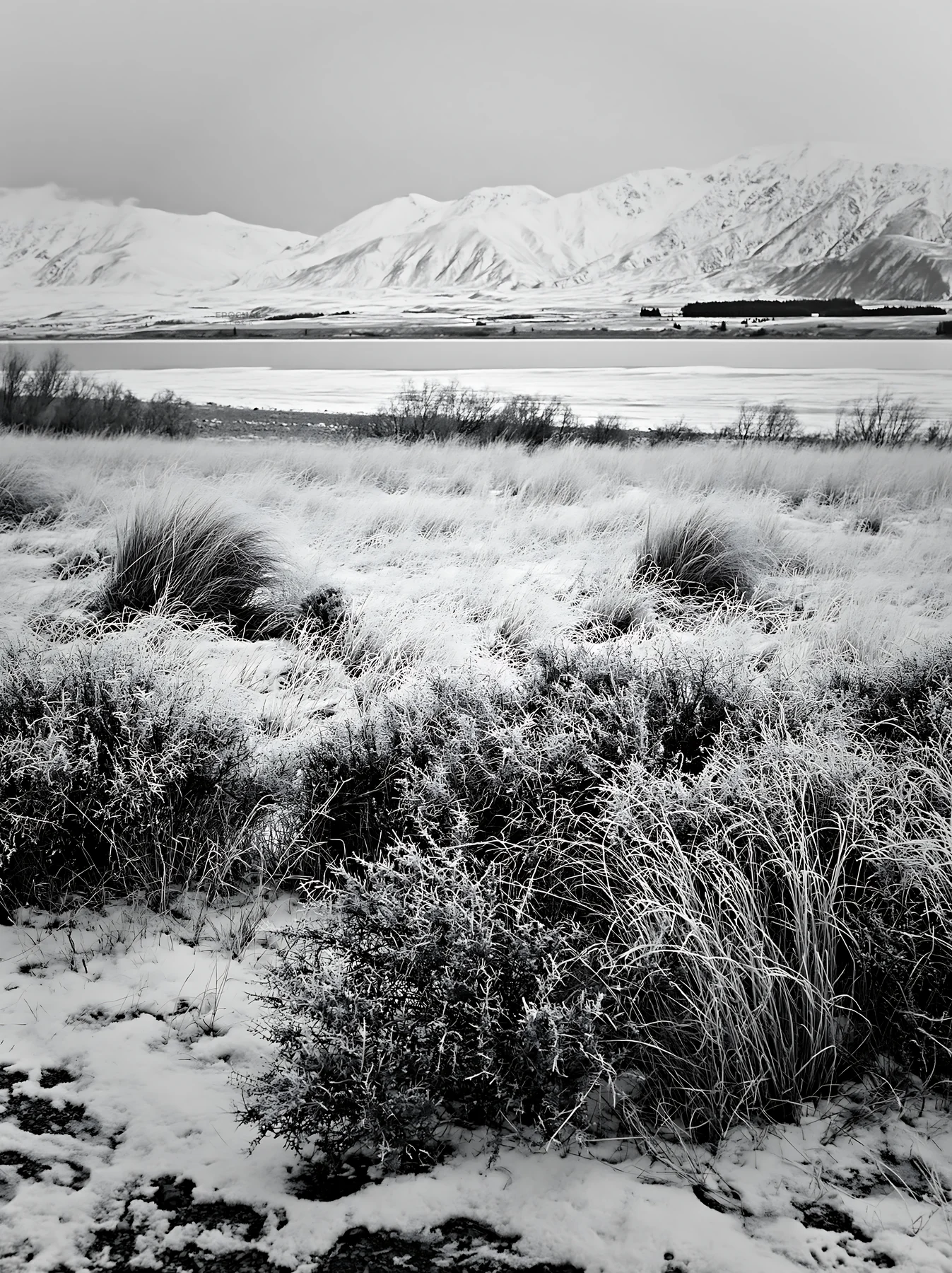 Black and white lake Tekapo meadow snowy alps view in winter - AI-generated stock image