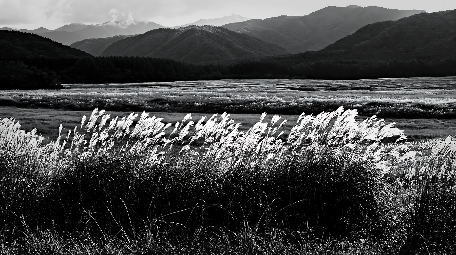 Shizuoka seasonal meadow scene after heavy rain - AI-generated stock image