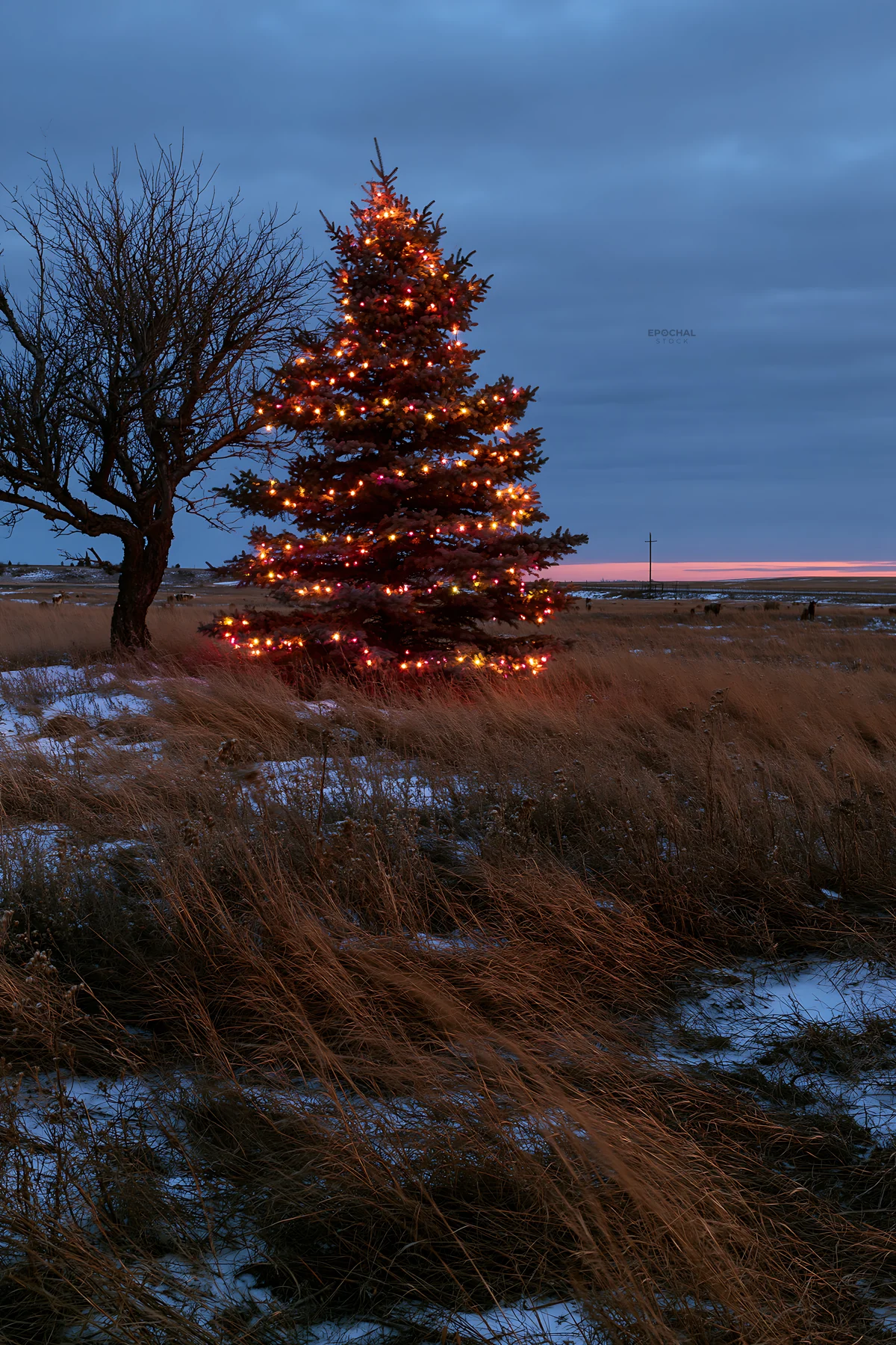 Decorated Christmas tree in snowy meadow at dusk - AI-generated stock image