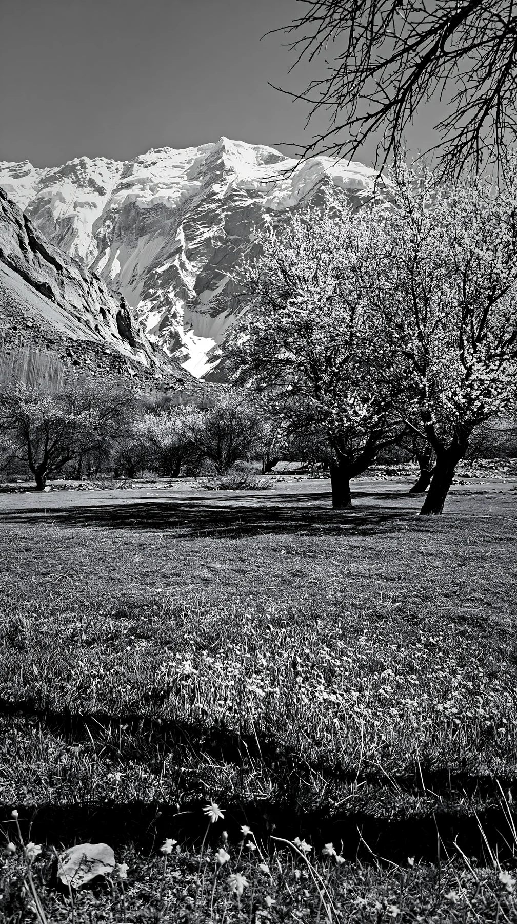 Spring orchard meadow with trees and mountains - AI-generated stock image
