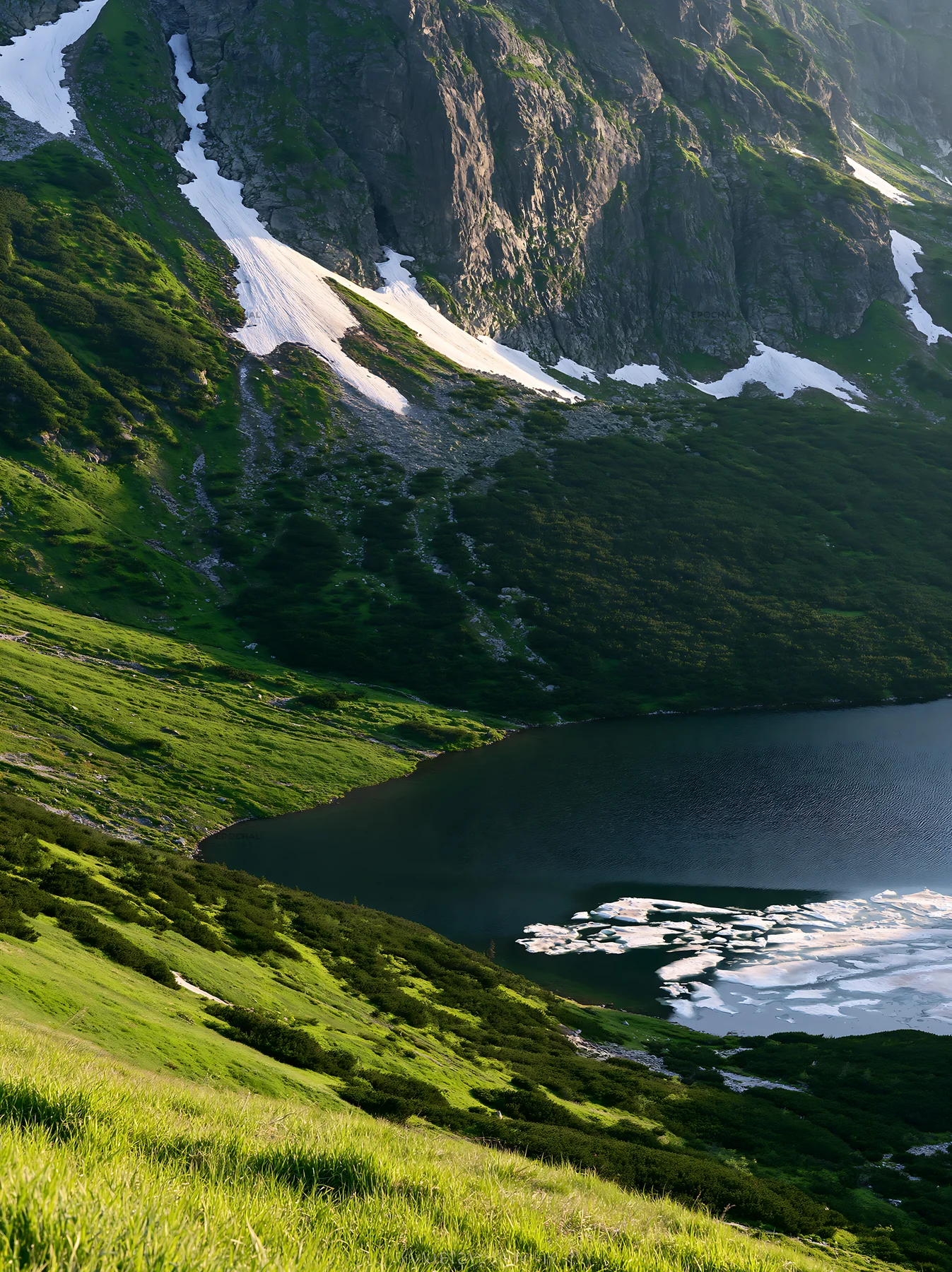 Snowmelt in Tatra mountains meadow during spring - AI-generated stock image