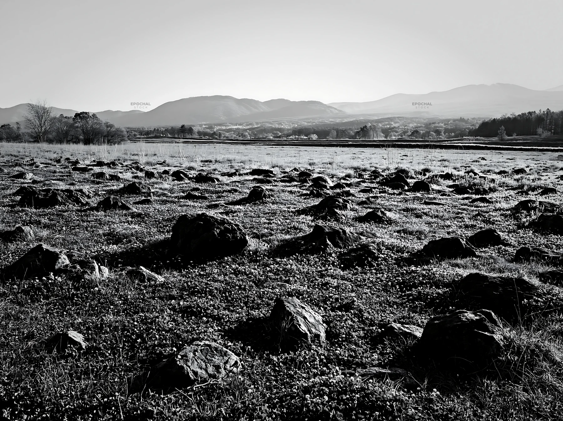 Yamanashi regenerative meadow with basalt stones under gray sky - AI-generated stock image