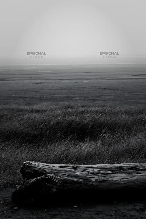 Chiba coastal climate meadow with driftwood in foreground - AI-generated stock image