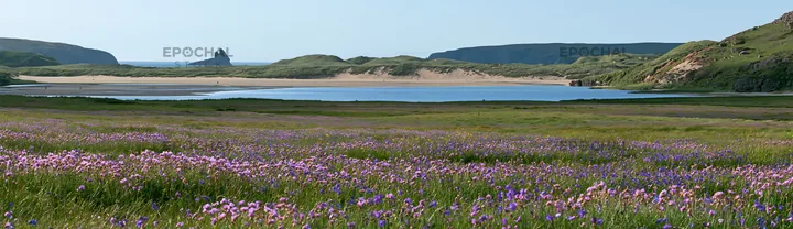 Campion bellflower meadow near a serene lake - AI-generated stock image