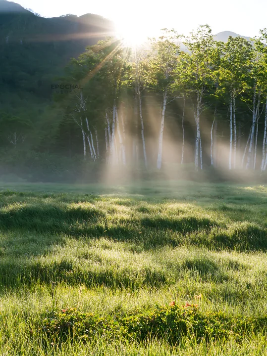 Daisetsuzan alpine meadow light rays create a natural scene - AI-generated stock image