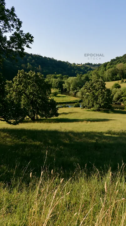 Valley apple meadow with trees and green grass in daylight - AI-generated stock image