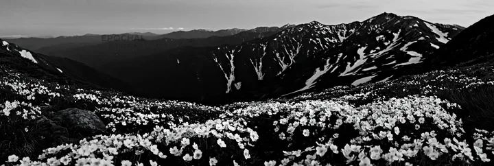 Black and white toyama alpine meadow snowmelt rock foreground with mountain view - AI-generated stock image