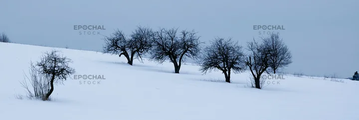 Hillside apple meadow covered in snow during winter - AI-generated stock image