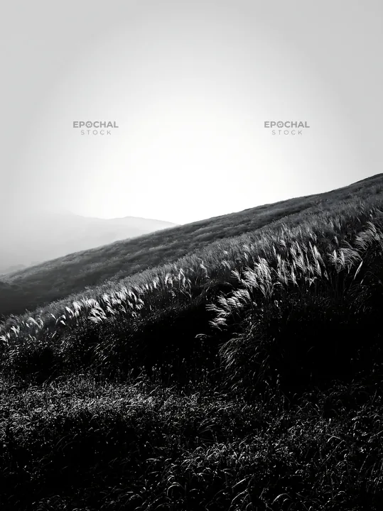 Miyazaki sunrise over meadow with dew covered sedges - AI-generated stock image