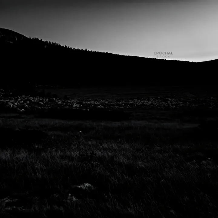 Moonrise over a meadow - AI-generated stock image