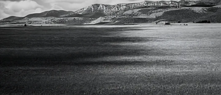 Black and white sainfoin chicory meadow with mountains in the background - AI-generated stock image