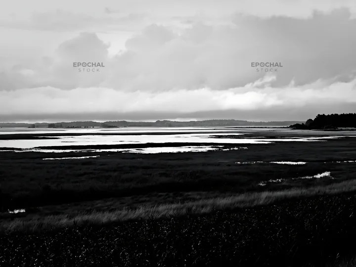 Black and white saga floodplain meadow with reed foreground and cloudy sky - AI-generated stock image
