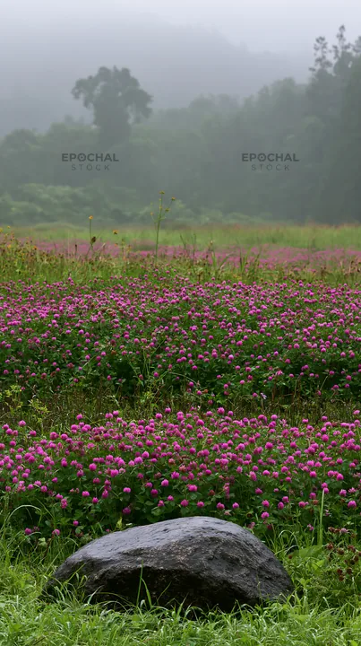 Hiroshima rainy meadow smooth rock foreground - AI-generated stock image