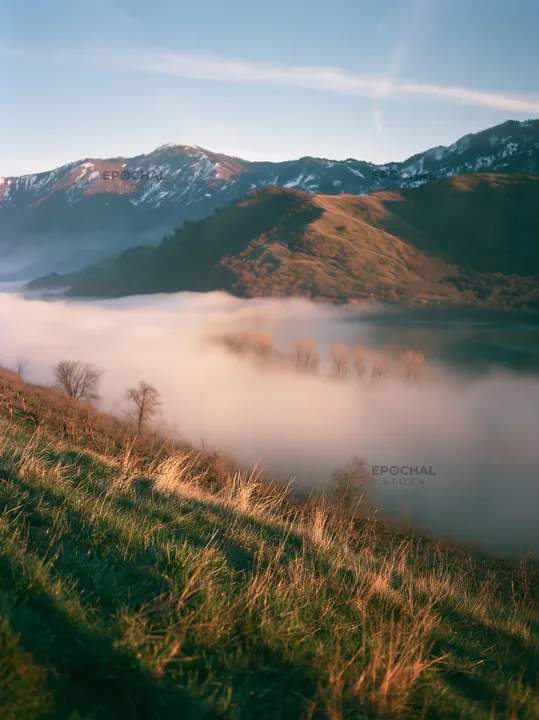 Highland apple meadow with rolling fog and mountain backdrop - AI-generated stock image