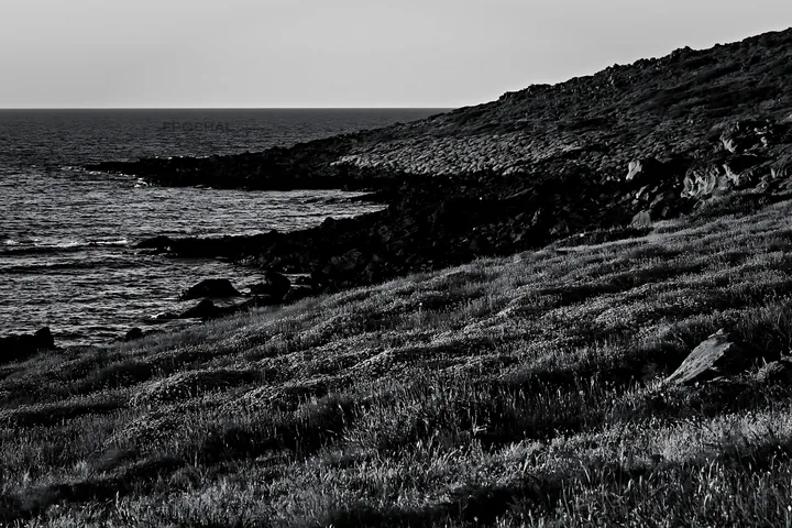 Italian meadow along rocky coast near the sea - AI-generated stock image