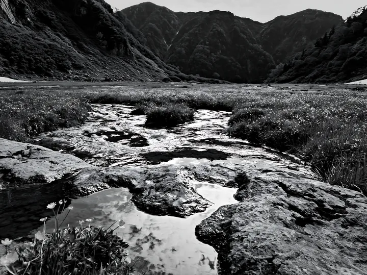 Black and white toyama alpine meadow snowmelt rock foreground with lush greenery - AI-generated stock image