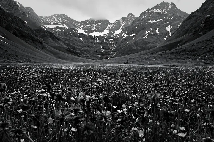 Meadow located beneath a waterfall in a mountainous area - AI-generated stock image