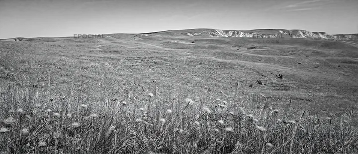 Sunny limestone meadow with open space - AI-generated stock image