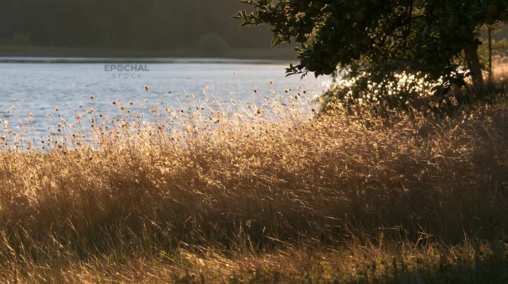 Lakeshore apple meadow with grasses near water - AI-generated stock image