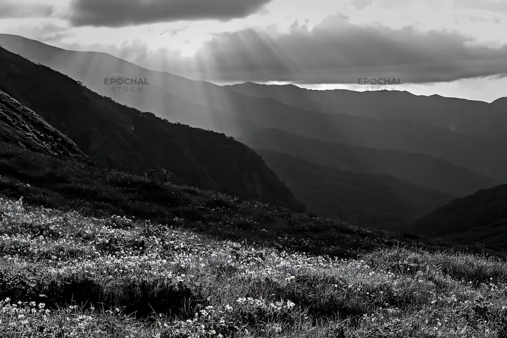 Daisetsuzan alpine meadow with light rays in black and white - AI-generated stock image