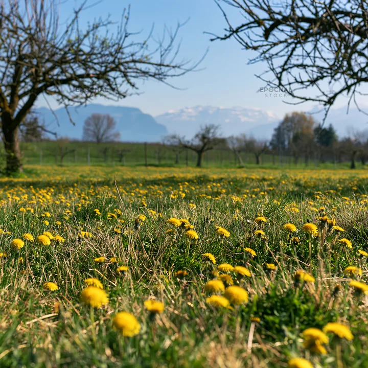 Dandelion orchard meadow filled with yellow flowers and trees - AI-generated stock image