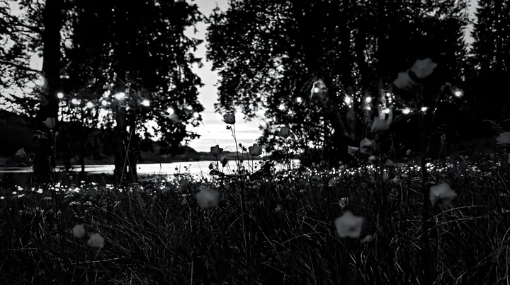 Wide Christmas meadow with fairy lights and native flowers - AI-generated stock image