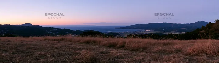 Evening light over Ehime meadow with dry seedheads - AI-generated stock image