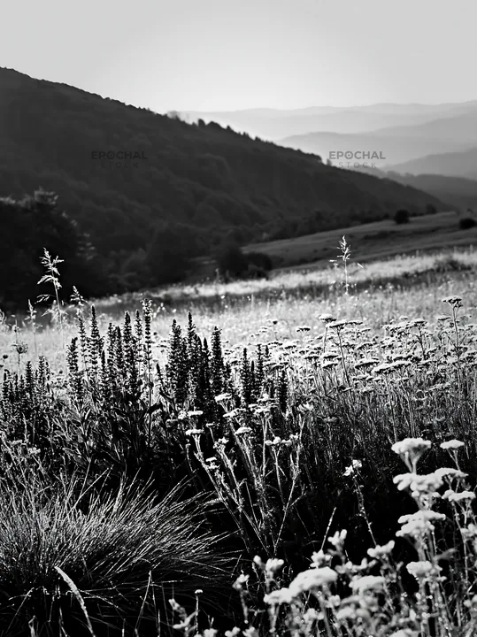 Rolling valley meadows under soft light in the afternoon - AI-generated stock image