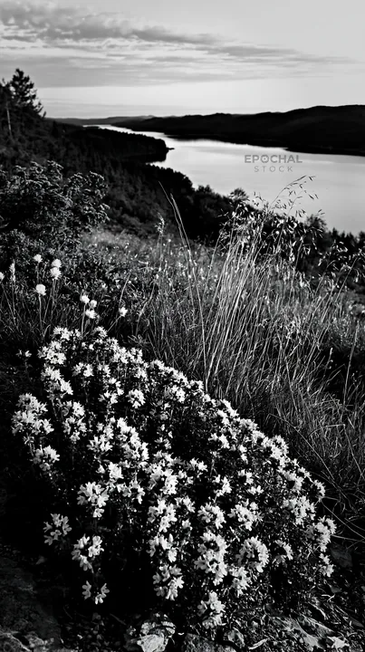 Celestial meadow lake with flowers and water view - AI-generated stock image