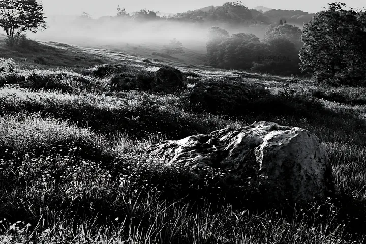 Yamaguchi limestone meadow with pale boulder at dawn - AI-generated stock image