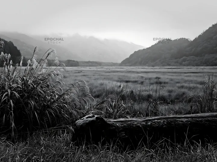Black and white gifu low carbon meadow mossy log in natural landscape - AI-generated stock image