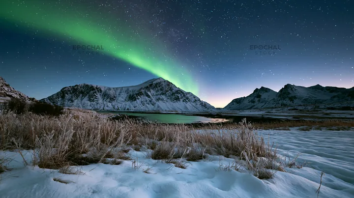 Lofoten coastal meadow winter snow under the northern lights - AI-generated stock image