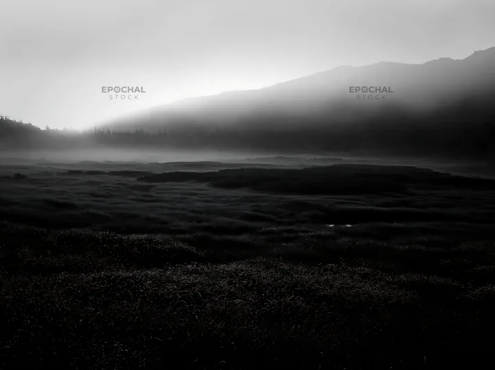 Daisetsuzan alpine meadow with light rays shining through mist - AI-generated stock image