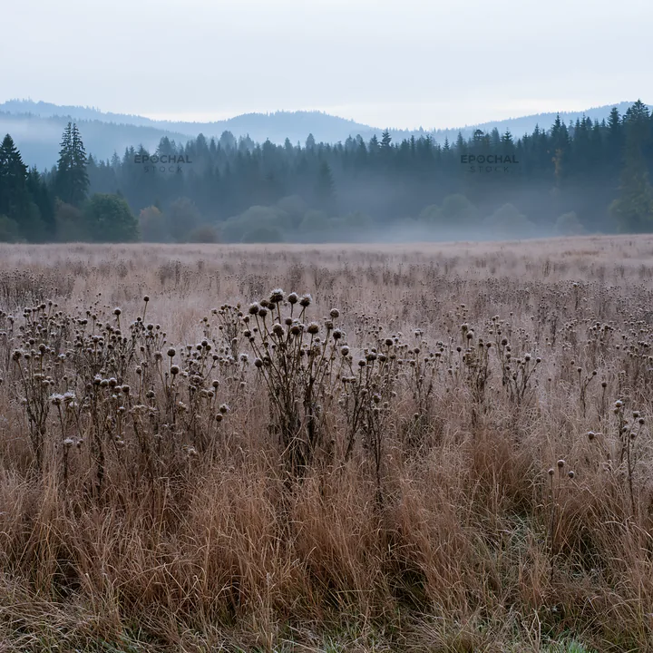 Foggy autumn meadow with tall dried grass and distant hills - AI-generated stock image
