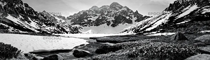 Frozen tarn in mountain meadow during winter season - AI-generated stock image