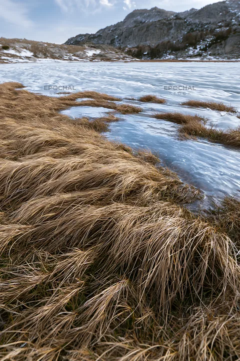 Frozen tarn meadow surrounded by grass and snow - AI-generated stock image
