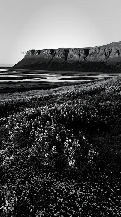 Regenerative meadow with cliffs and water in black and white - AI-generated stock image