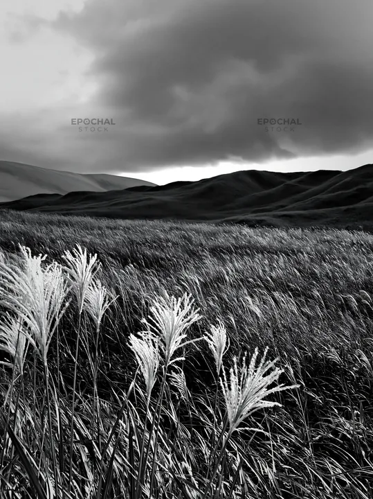 Black and white tottori windy meadow with dune grasses under a cloudy sky - AI-generated stock image