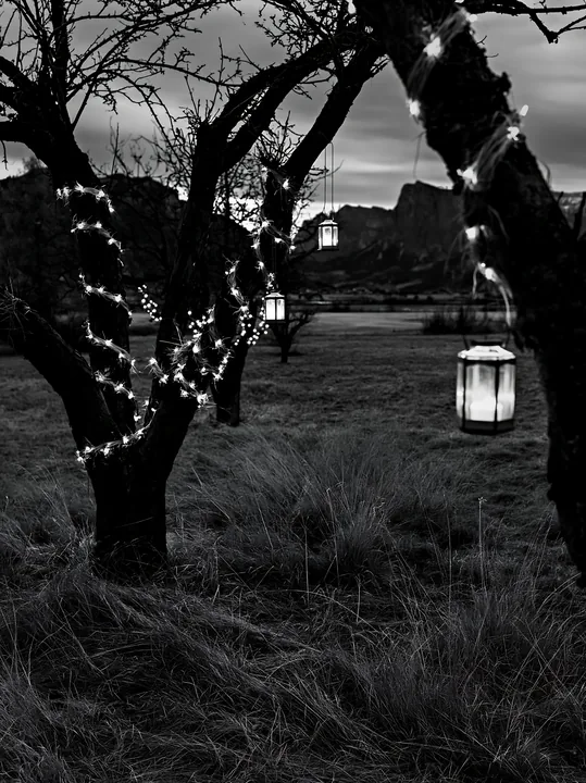 Winter evening at apple tree meadow with garlands and lanterns - AI-generated stock image