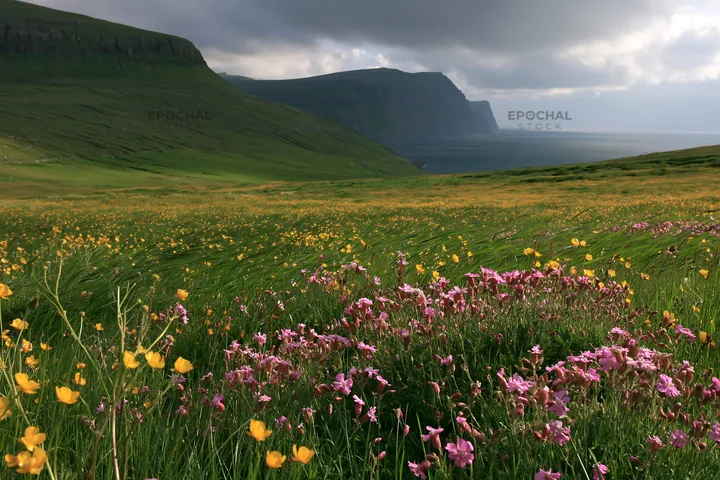 Meadow with wildflowers and a coastal valley view - AI-generated stock image
