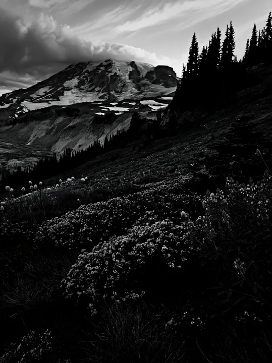 Mount Rainier wildflower meadow at sunrise - AI-generated stock image